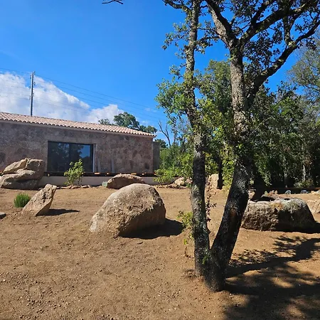 Domaine Campo Stellato *